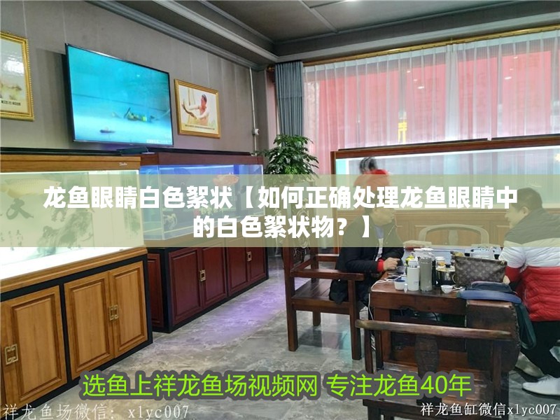 龍魚眼睛白色絮狀【如何正確處理龍魚眼睛中的白色絮狀物？】