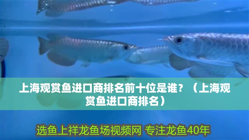 上海觀賞魚進(jìn)口商排名前十位是誰？（上海觀賞魚進(jìn)口商排名）