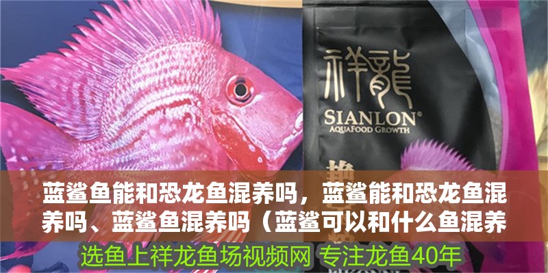 藍鯊魚能和恐龍魚混養嗎，藍鯊能和恐龍魚混養嗎、藍鯊魚混養嗎（藍鯊可以和什么魚混養）