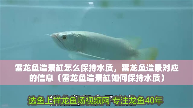 雷龍魚造景缸怎么保持水質，雷龍魚造景對應的信息（雷龍魚造景缸如何保持水質）
