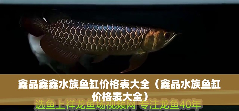 鑫品鑫鑫水族魚缸價格表大全（鑫品水族魚缸價格表大全）