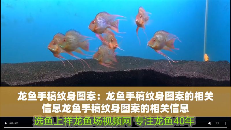 龍魚手稿紋身圖案：龍魚手稿紋身圖案的相關(guān)信息龍魚手稿紋身圖案的相關(guān)信息