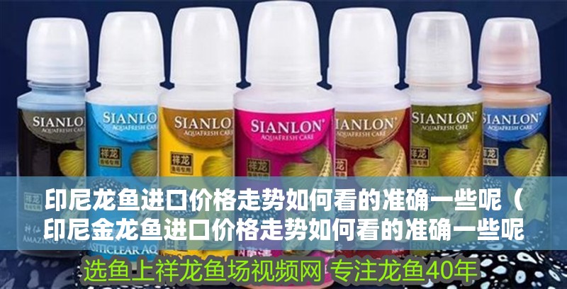 印尼龍魚進口價格走勢如何看的準確一些呢（印尼金龍魚進口價格走勢如何看的準確一些呢）