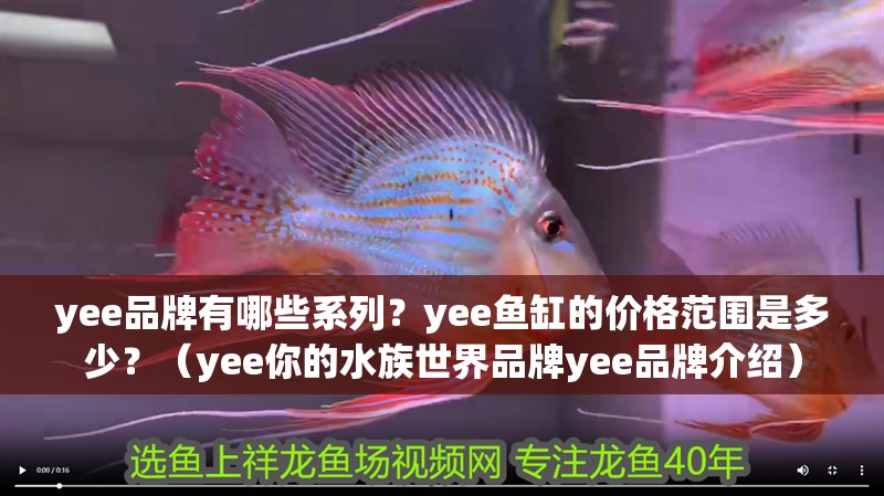 yee品牌有哪些系列？yee魚缸的價格范圍是多少？（yee你的水族世界品牌yee品牌介紹）