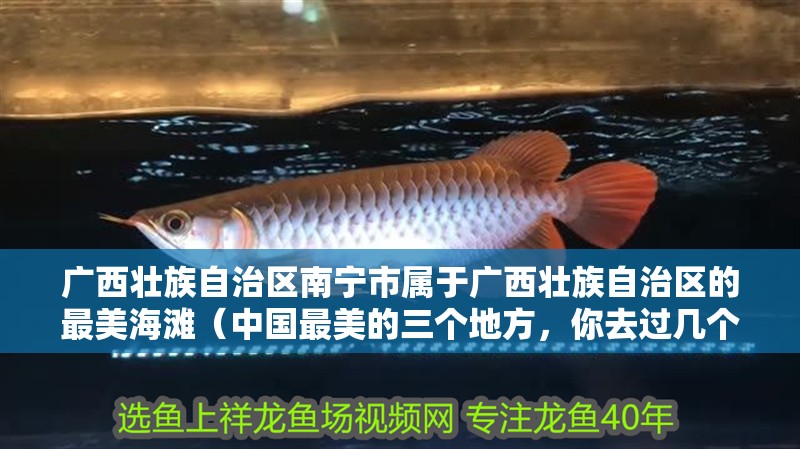 廣西壯族自治區(qū)南寧市屬于廣西壯族自治區(qū)的最美海灘（中國最美的三個(gè)地方，你去過幾個(gè)？）