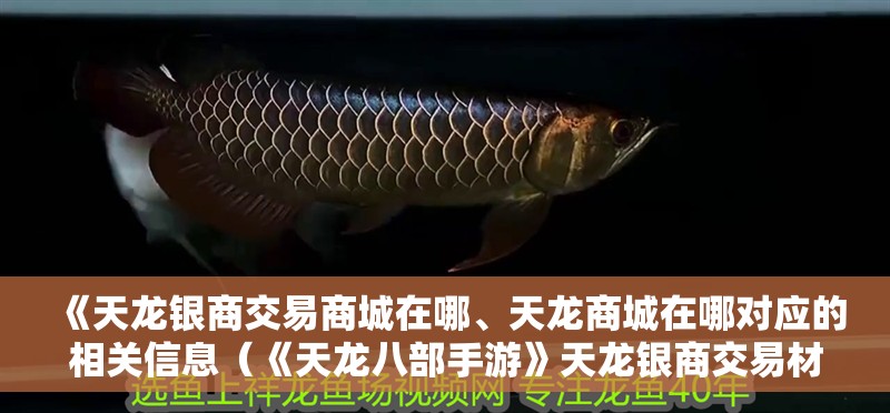 《天龍銀商交易商城在哪、天龍商城在哪對(duì)應(yīng)的相關(guān)信息（《天龍八部手游》天龍銀商交易材料交易方法）