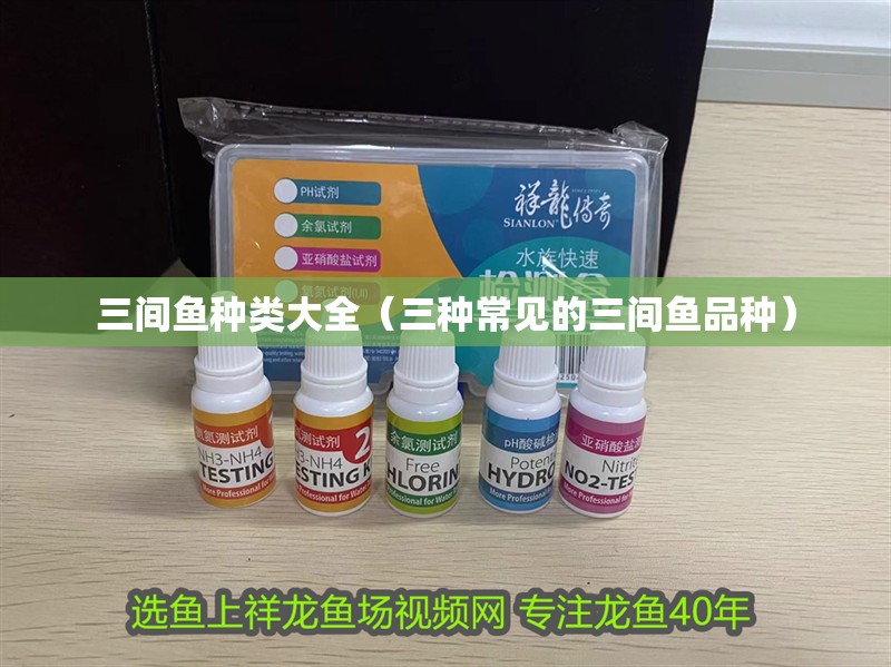 三間魚種類大全（三種常見的三間魚品種）