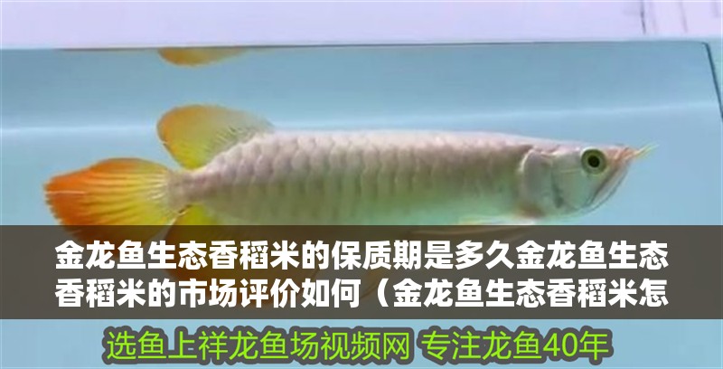 金龍魚生態香稻米的保質期是多久金龍魚生態香稻米的市場評價如何（金龍魚生態香稻米怎么選）