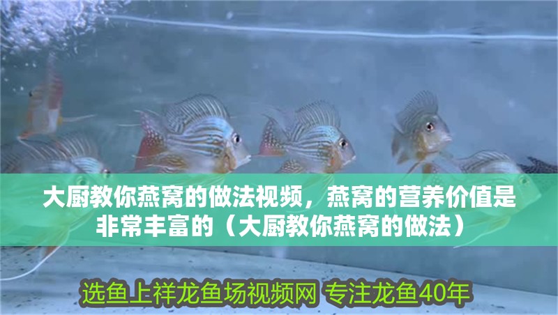 大廚教你燕窩的做法視頻，燕窩的營養價值是非常豐富的（大廚教你燕窩的做法）