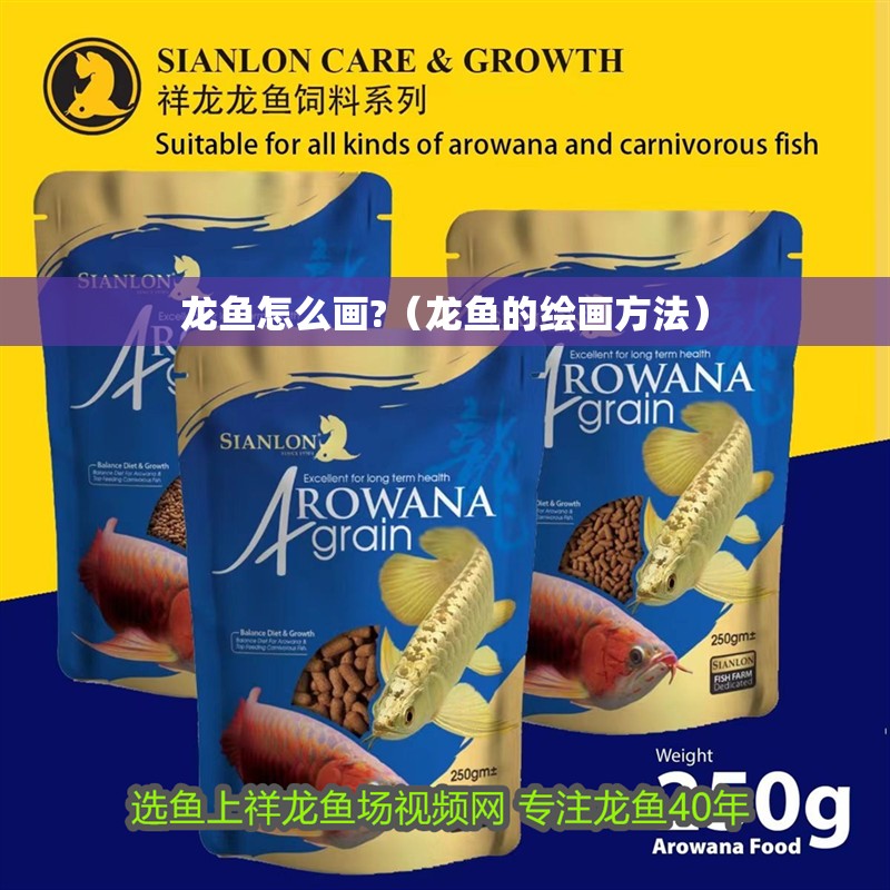 龍魚怎么畫?（龍魚的繪畫方法）