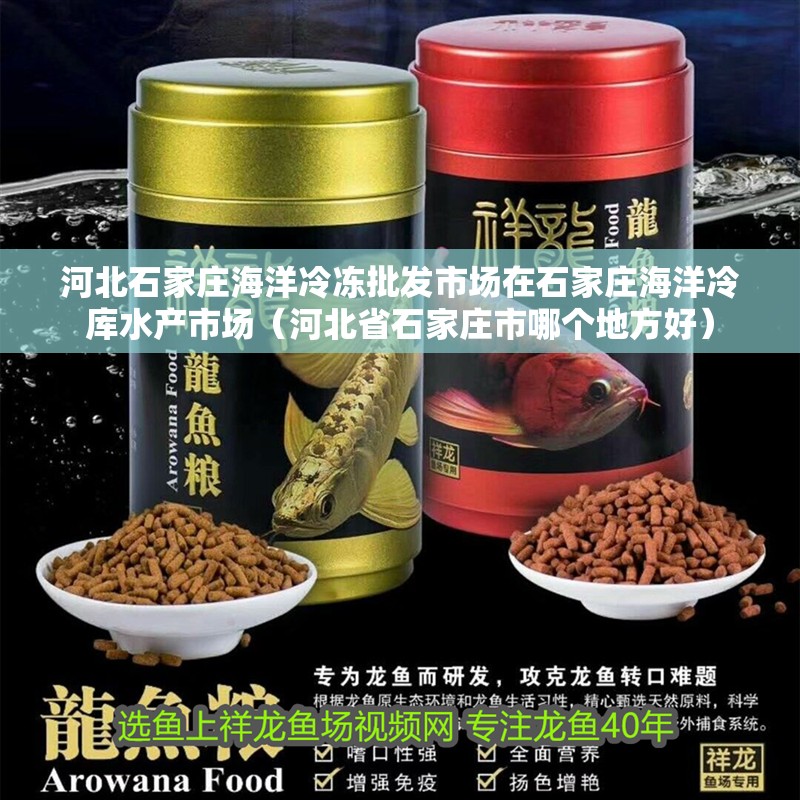 河北石家莊海洋冷凍批發市場在石家莊海洋冷庫水產市場（河北省石家莊市哪個地方好）