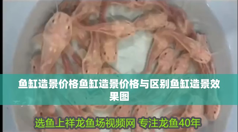 魚缸造景價格魚缸造景價格與區(qū)別魚缸造景效果圖