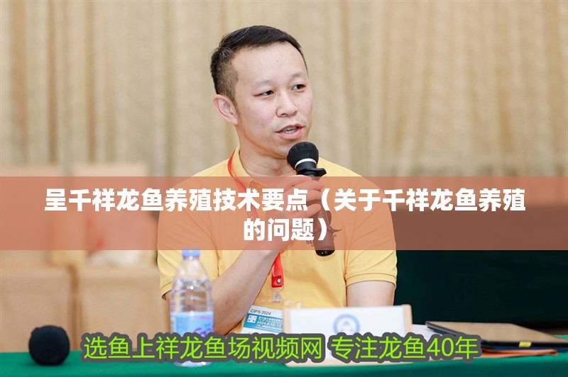 呈千祥龍魚養殖技術要點（關于千祥龍魚養殖的問題）