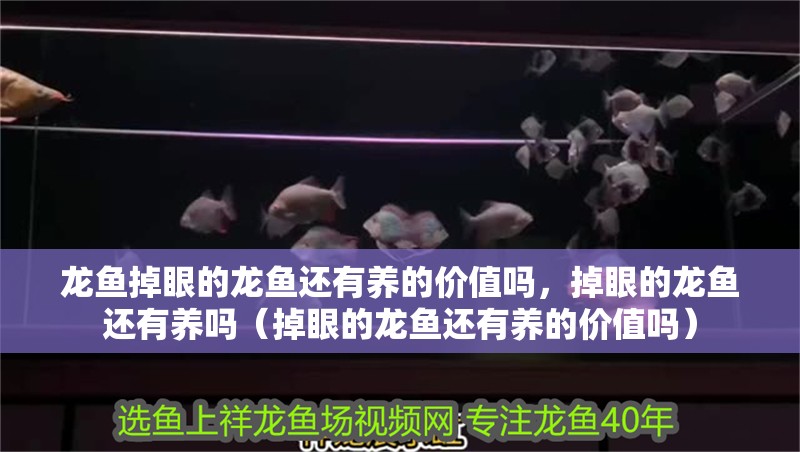 龍魚掉眼的龍魚還有養的價值嗎，掉眼的龍魚還有養嗎（掉眼的龍魚還有養的價值嗎）