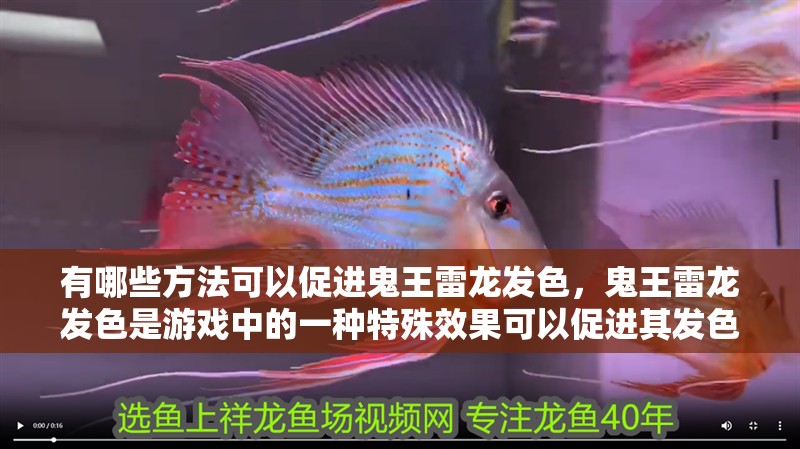 有哪些方法可以促進(jìn)鬼王雷龍發(fā)色，鬼王雷龍發(fā)色是游戲中的一種特殊效果可以促進(jìn)其發(fā)色