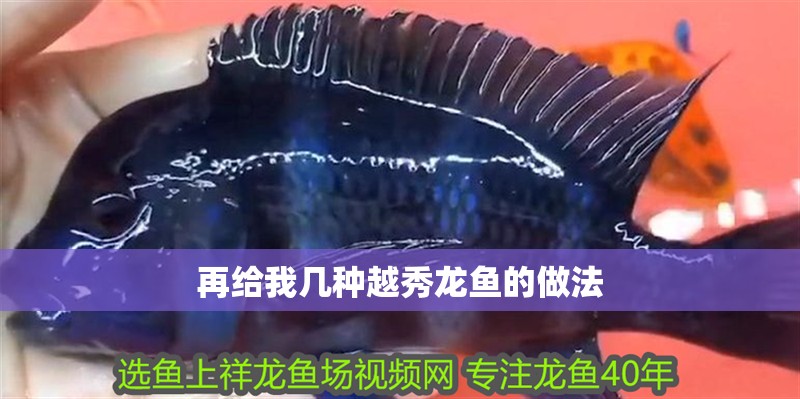 再給我幾種越秀龍魚的做法