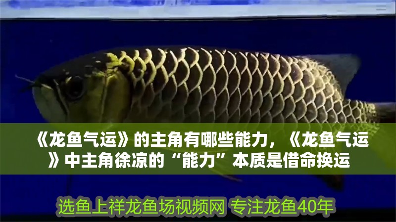 《龍魚氣運》的主角有哪些能力，《龍魚氣運》中主角徐涼的“能力”本質是借命換運