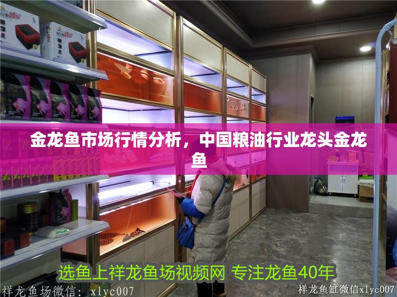 金龍魚市場行情分析，中國糧油行業(yè)龍頭金龍魚
