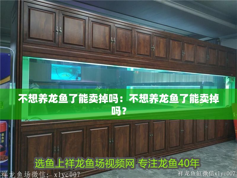 不想養龍魚了能賣掉嗎：不想養龍魚了能賣掉嗎？