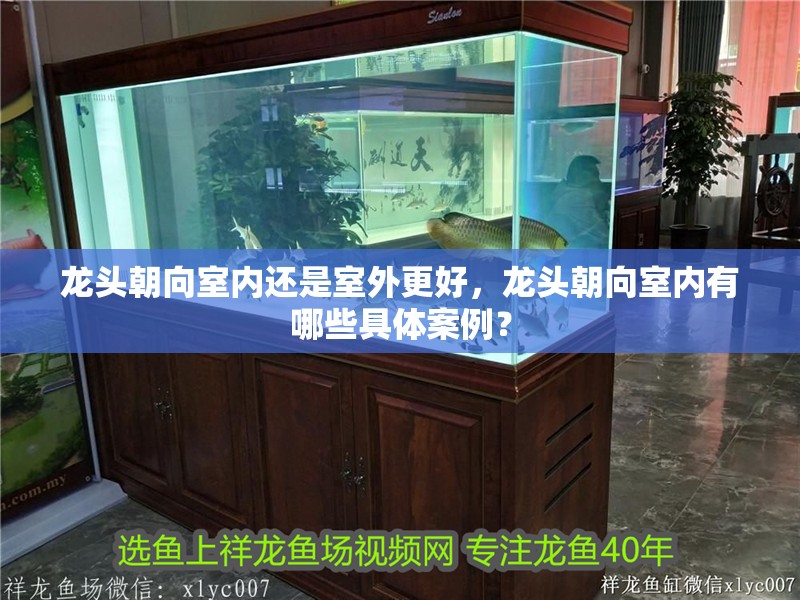 龍頭朝向室內還是室外更好，龍頭朝向室內有哪些具體案例？