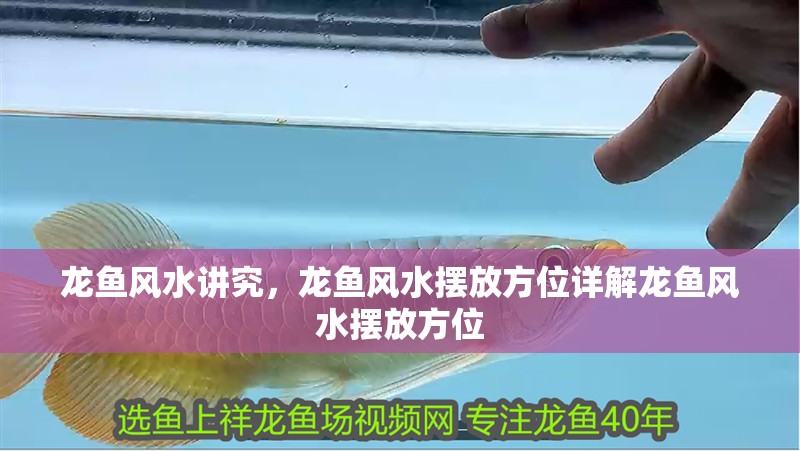 龍魚風水講究，龍魚風水擺放方位詳解龍魚風水擺放方位