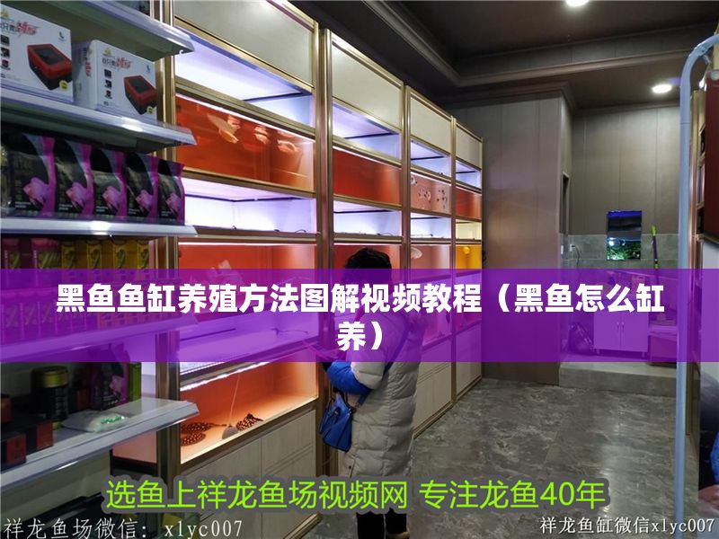 黑魚魚缸養殖方法圖解視頻教程（黑魚怎么缸養）