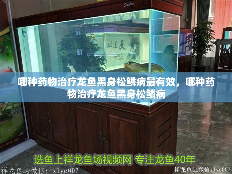 哪種藥物治療龍魚黑身松鱗病最有效，哪種藥物治療龍魚黑身松鱗病