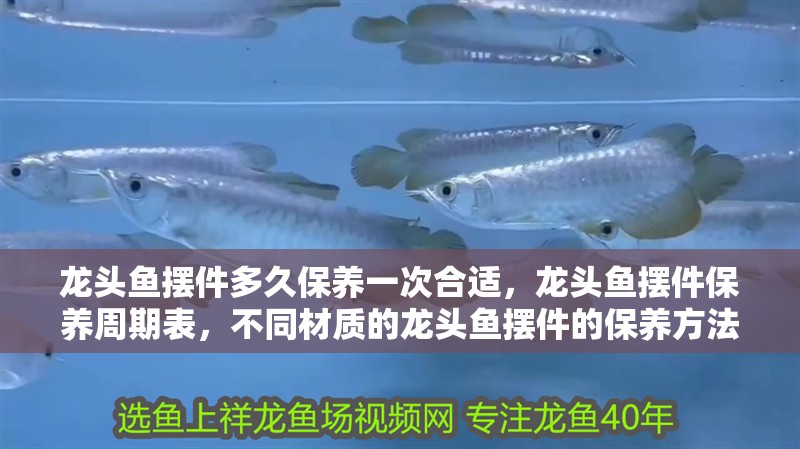 龍頭魚擺件多久保養(yǎng)一次合適，龍頭魚擺件保養(yǎng)周期表，不同材質(zhì)的龍頭魚擺件的保養(yǎng)方法