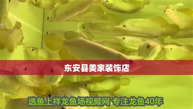 東安縣美家裝飾店