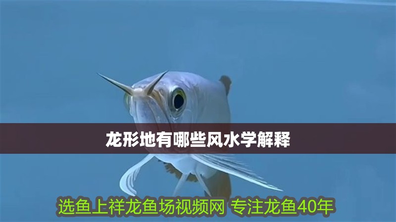 龍形地有哪些風(fēng)水學(xué)解釋