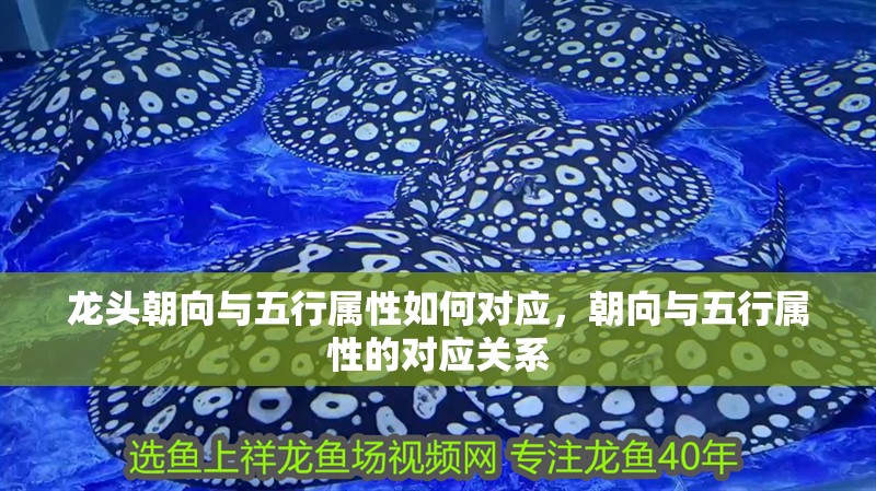 龍頭朝向與五行屬性如何對應，朝向與五行屬性的對應關系