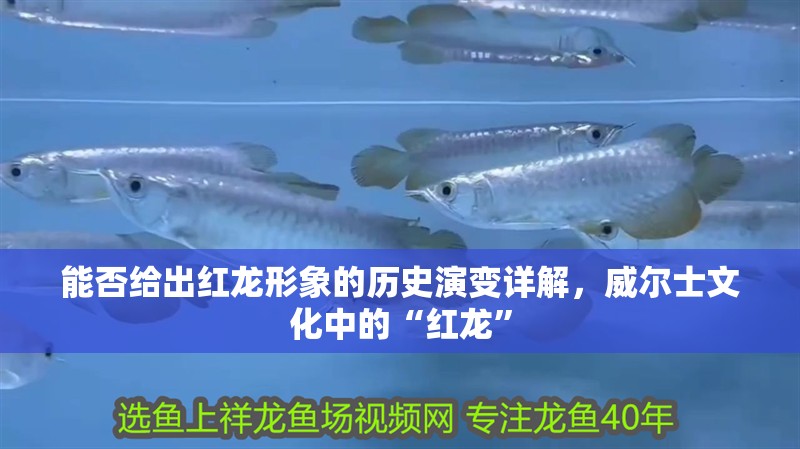 能否給出紅龍形象的歷史演變詳解，威爾士文化中的“紅龍”