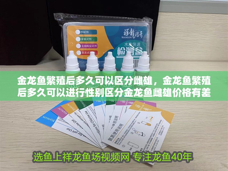 金龍魚繁殖后多久可以區分雌雄，金龍魚繁殖后多久可以進行性別區分金龍魚雌雄價格有差異嗎