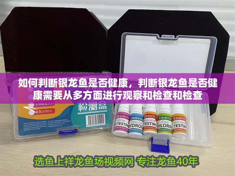 如何判斷銀龍魚是否健康，判斷銀龍魚是否健康需要從多方面進行觀察和檢查和檢查
