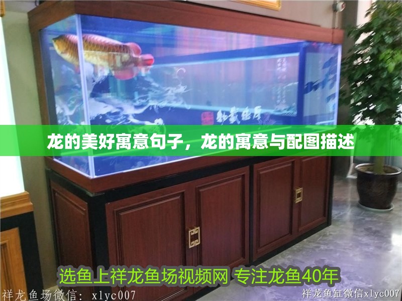 龍的美好寓意句子，龍的寓意與配圖描述