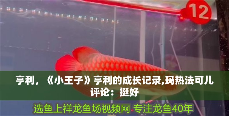 亨利，《小王子》亨利的成長記錄,瑪熱法可兒評論：挺好