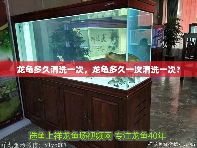 龍龜多久清洗一次，龍龜多久一次清洗一次？