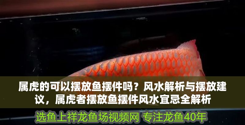 屬虎的可以擺放魚擺件嗎？風水解析與擺放建議，屬虎者擺放魚擺件風水宜忌全解析