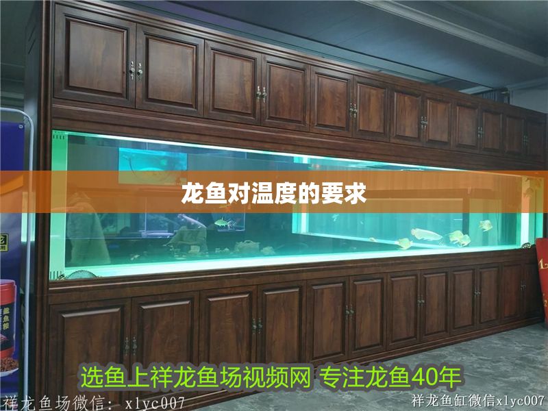 龍魚對溫度的要求 龍魚對溫度的要求 龍魚百科 第1張