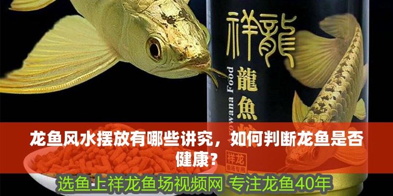 龍魚風(fēng)水?dāng)[放有哪些講究，如何判斷龍魚是否健康？