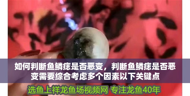 如何判斷魚鱗痣是否惡變，判斷魚鱗痣是否惡變需要綜合考慮多個因素以下關(guān)鍵點