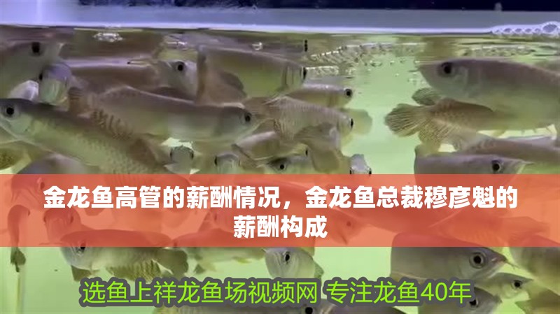 金龍魚高管的薪酬情況，金龍魚總裁穆彥魁的薪酬構(gòu)成