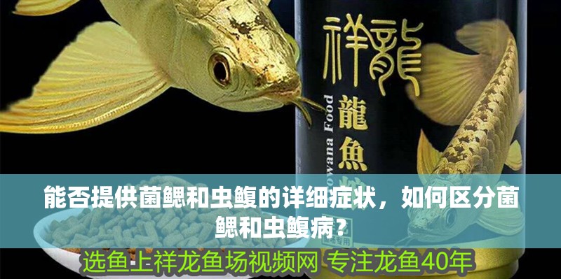 能否提供菌鰓和蟲鰒的詳細癥狀，如何區分菌鰓和蟲鰒病？