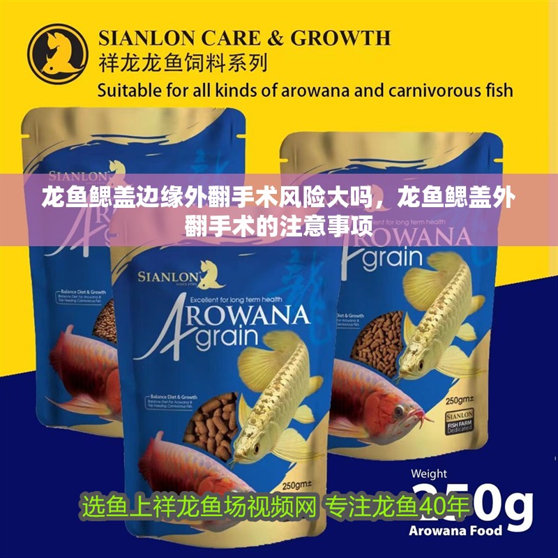 龍魚鰓蓋邊緣外翻手術風險大嗎，龍魚鰓蓋外翻手術的注意事項
