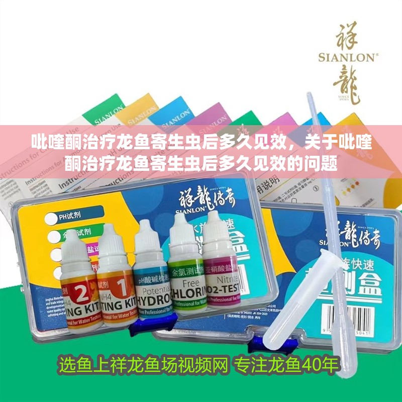 吡喹酮治療龍魚寄生蟲后多久見效，關于吡喹酮治療龍魚寄生蟲后多久見效的問題