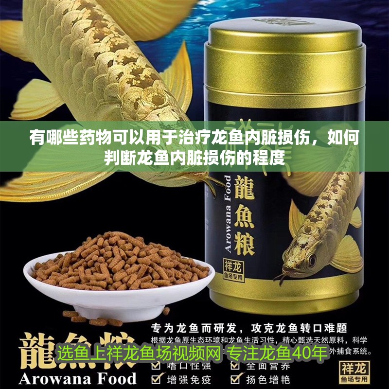 有哪些藥物可以用于治療龍魚內(nèi)臟損傷，如何判斷龍魚內(nèi)臟損傷的程度