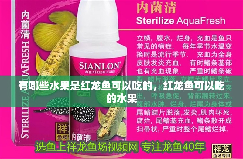 有哪些水果是紅龍魚可以吃的，紅龍魚可以吃的水果