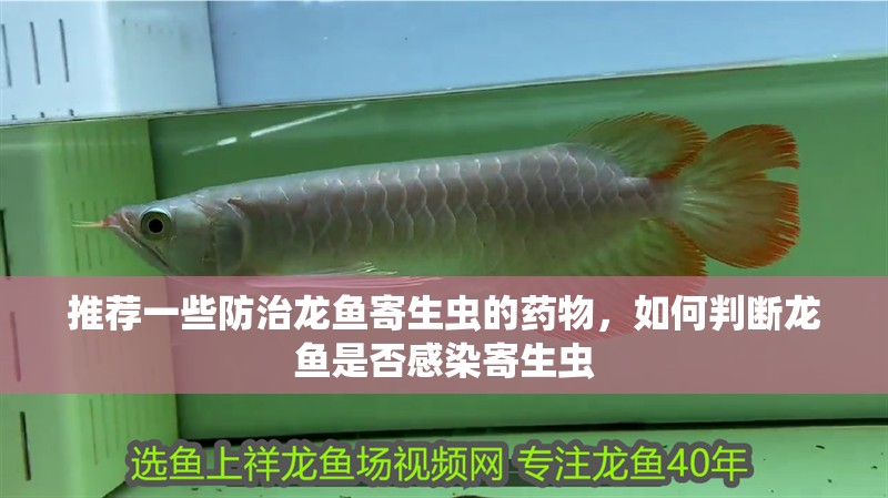 推薦一些防治龍魚寄生蟲的藥物，如何判斷龍魚是否感染寄生蟲