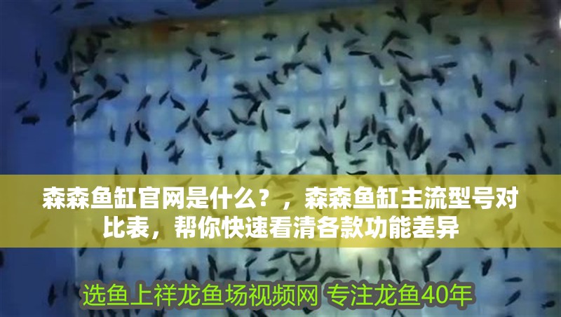 森森魚缸官網是什么？，森森魚缸主流型號對比表，幫你快速看清各款功能差異
