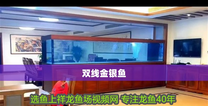 雙線金銀魚